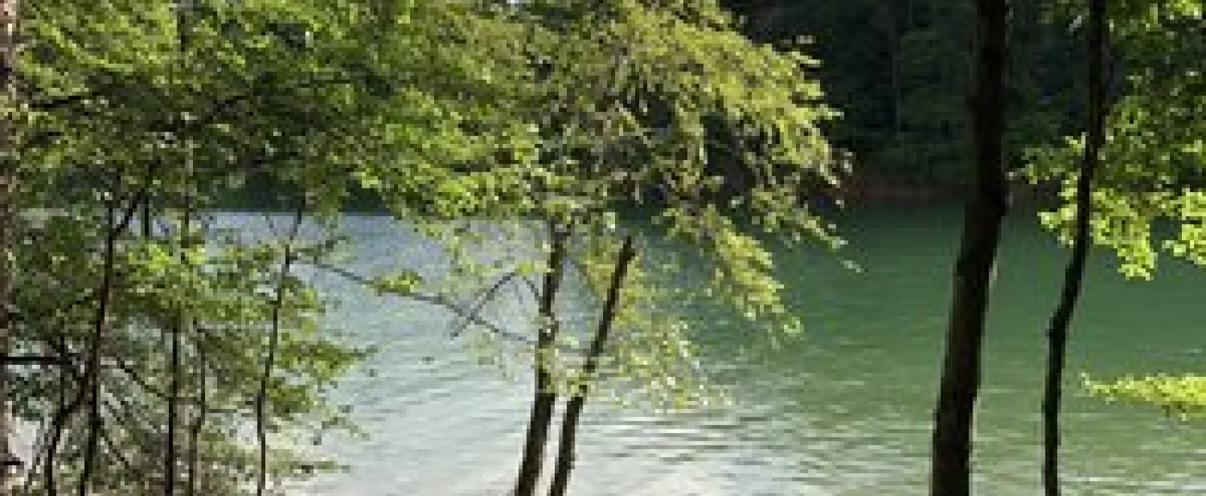 Bolding Mill Campground