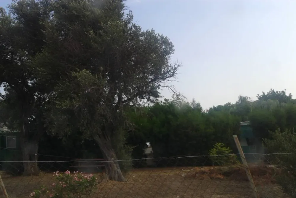 Governor's Kalymnos Beach Camping