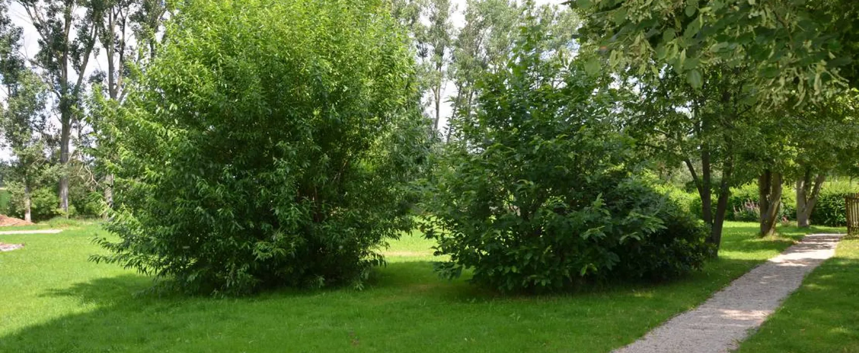 Natur- und Freizeiterlebnis Teichcamp