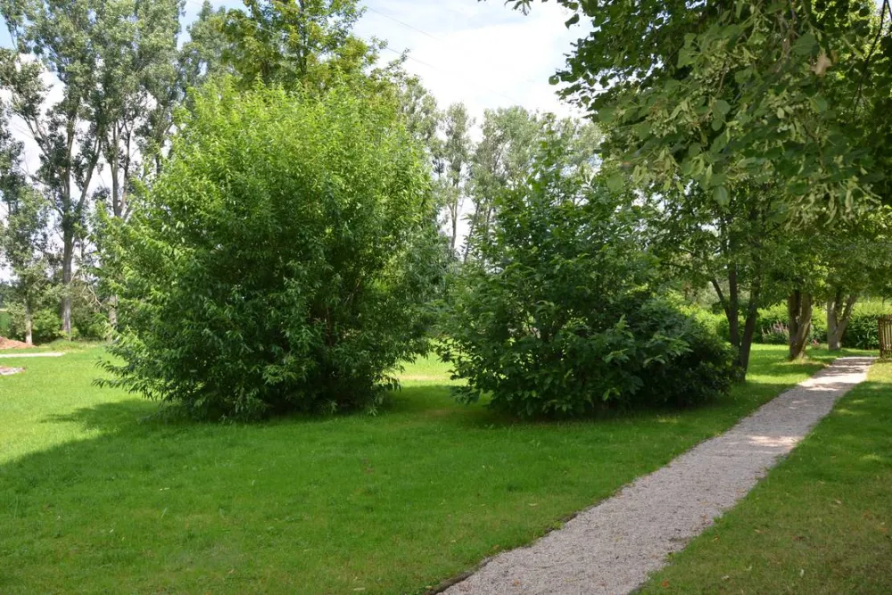 Natur- und Freizeiterlebnis Teichcamp