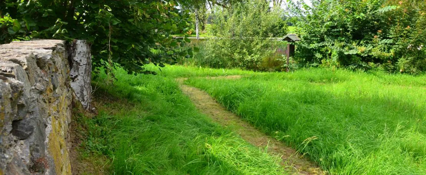 Natur- und Freizeiterlebnis Teichcamp