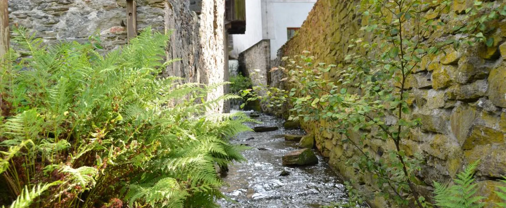 Natur- und Freizeiterlebnis Teichcamp