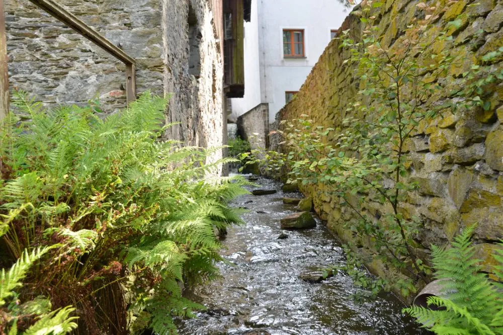Natur- und Freizeiterlebnis Teichcamp