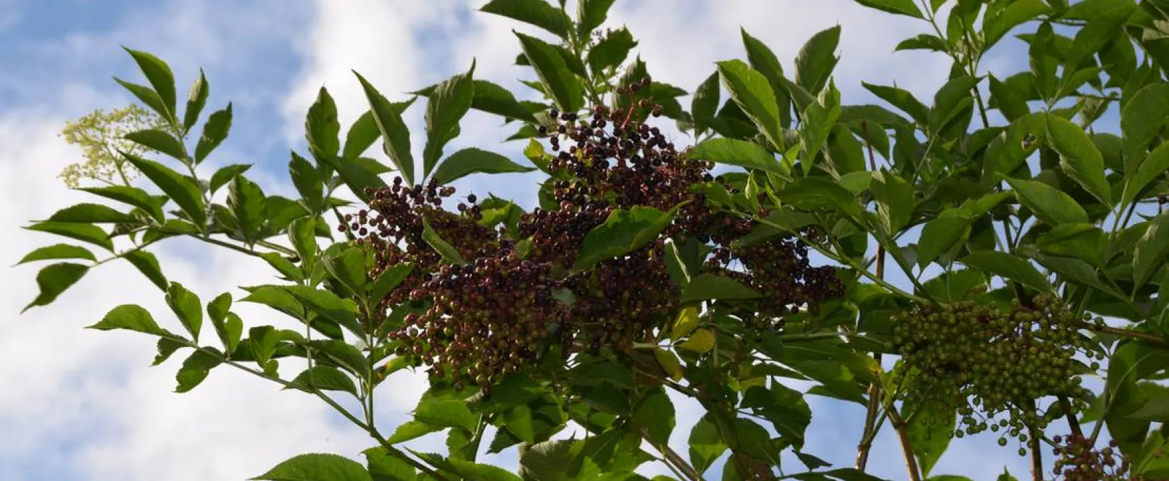 Natur- und Freizeiterlebnis Teichcamp