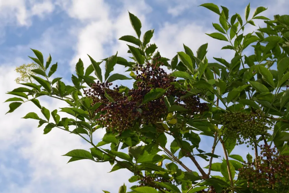 Natur- und Freizeiterlebnis Teichcamp