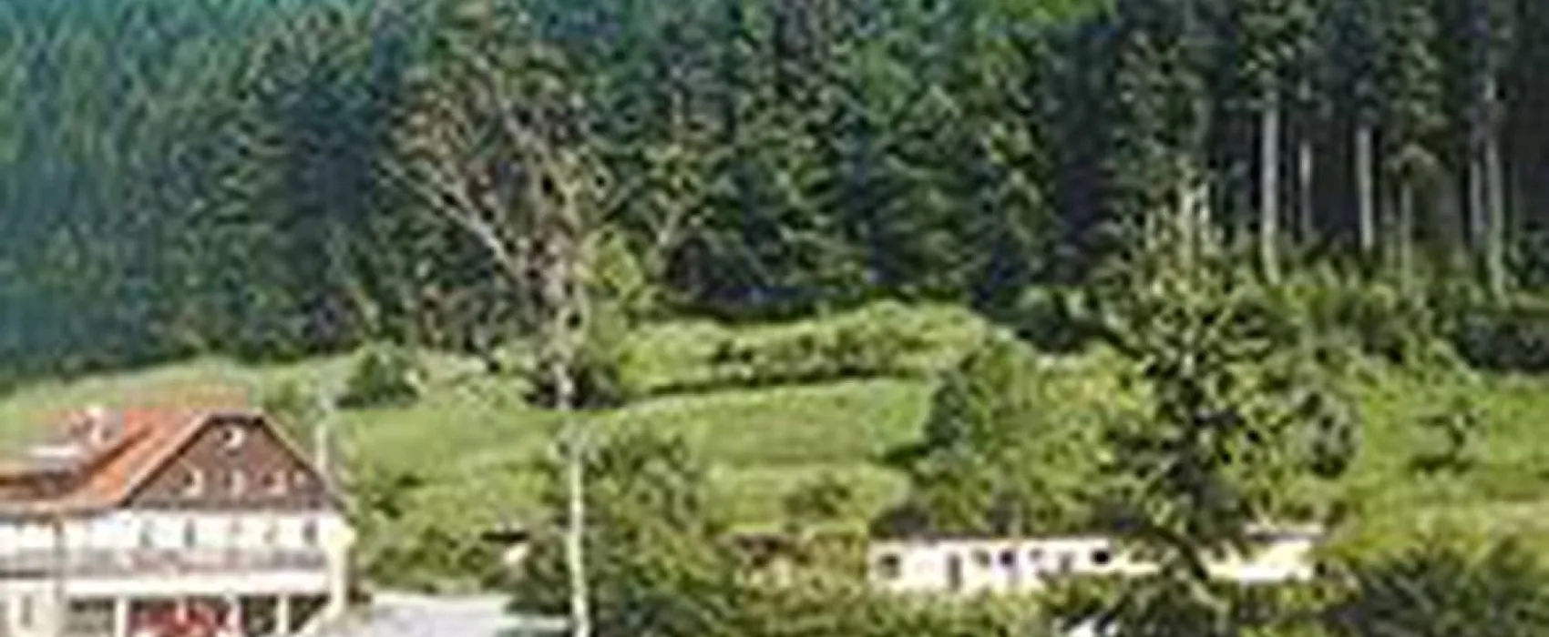 Schwarzwald Camping Fautsburg