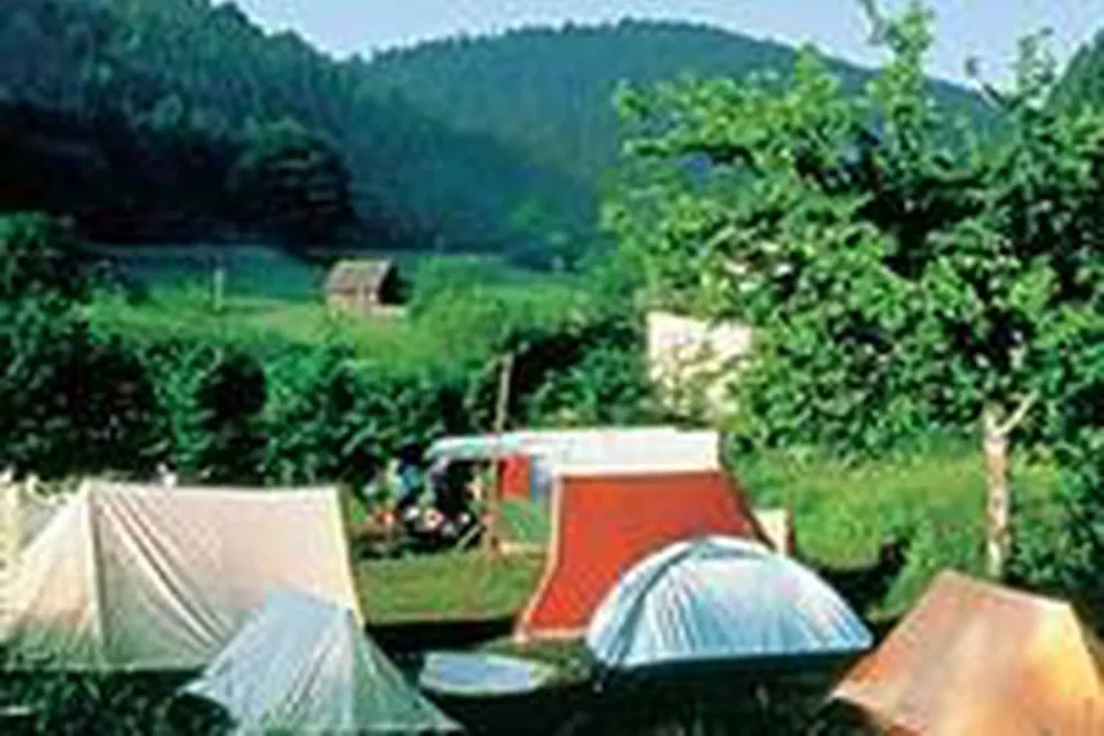 Schwarzwald Camping Fautsburg