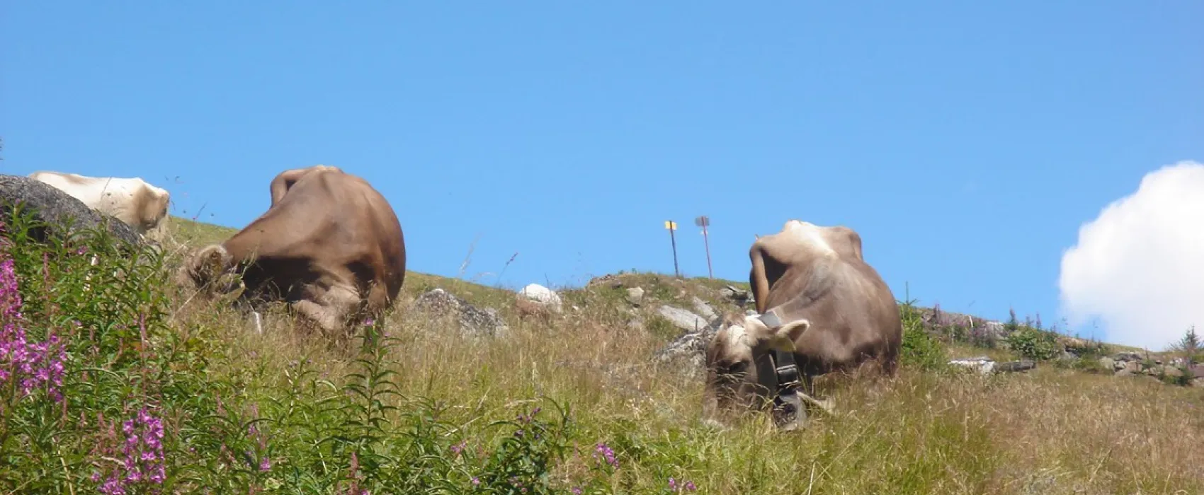 &Ouml;tztal Arena Camp Krismer