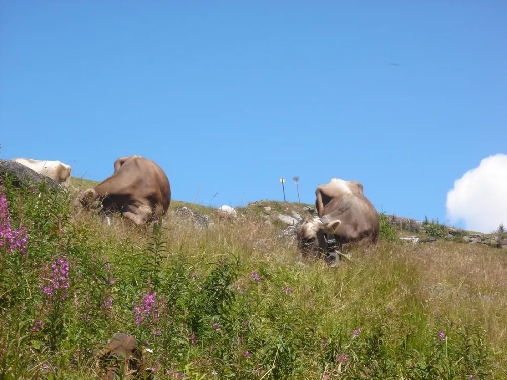 &Ouml;tztal Arena Camp Krismer