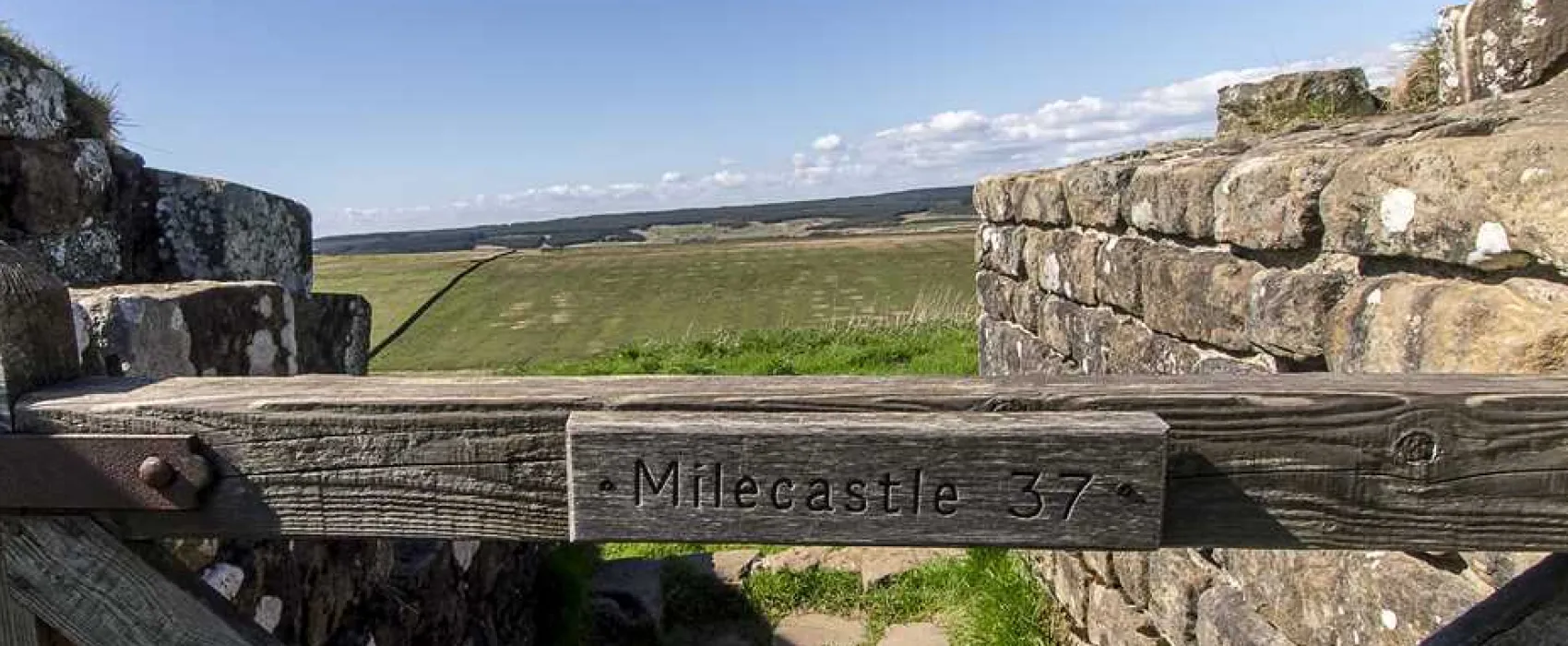 Herding Hill Farm Touring, Camping and Glamping Site