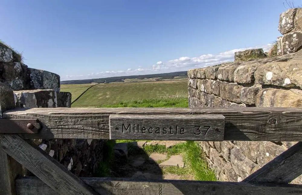 Herding Hill Farm Touring, Camping and Glamping Site