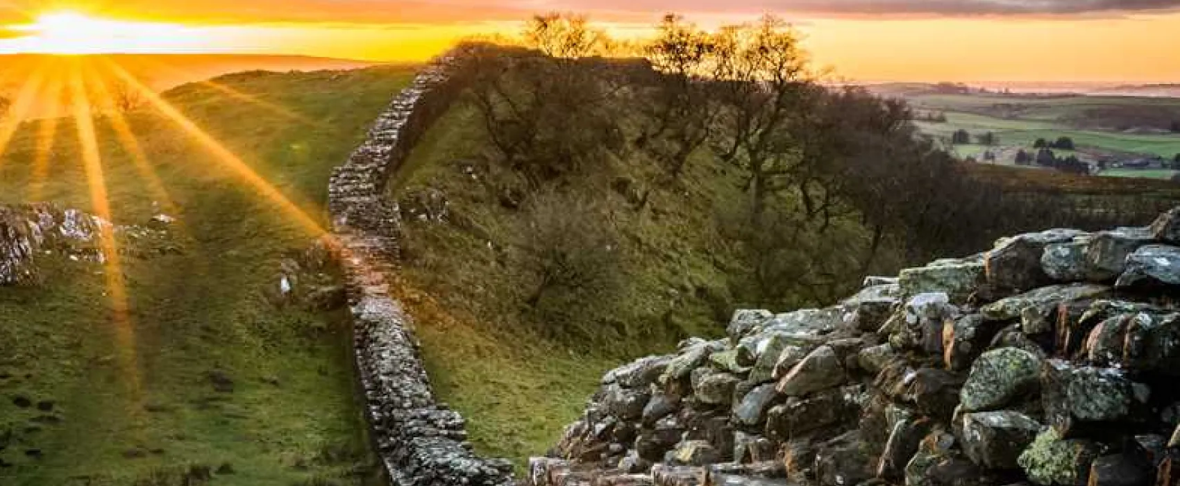 Herding Hill Farm Touring, Camping and Glamping Site