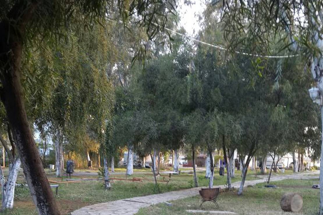 Camping Altinkum photo 2