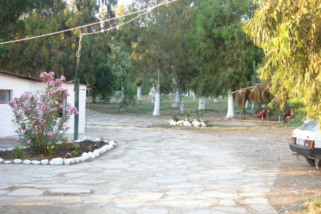 Camping Altinkum photo 3