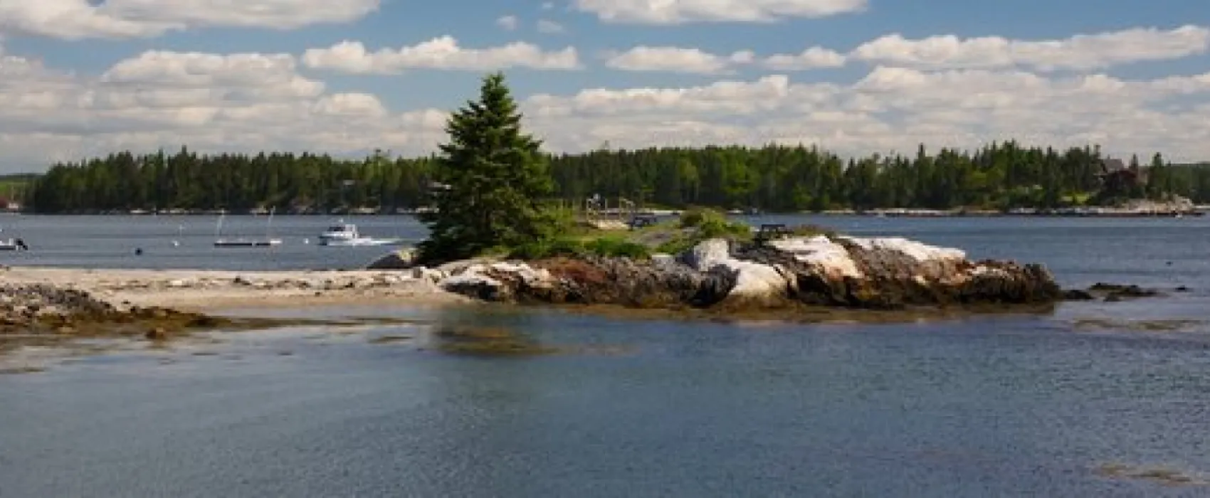 Gray Homestead Oceanfront Camping