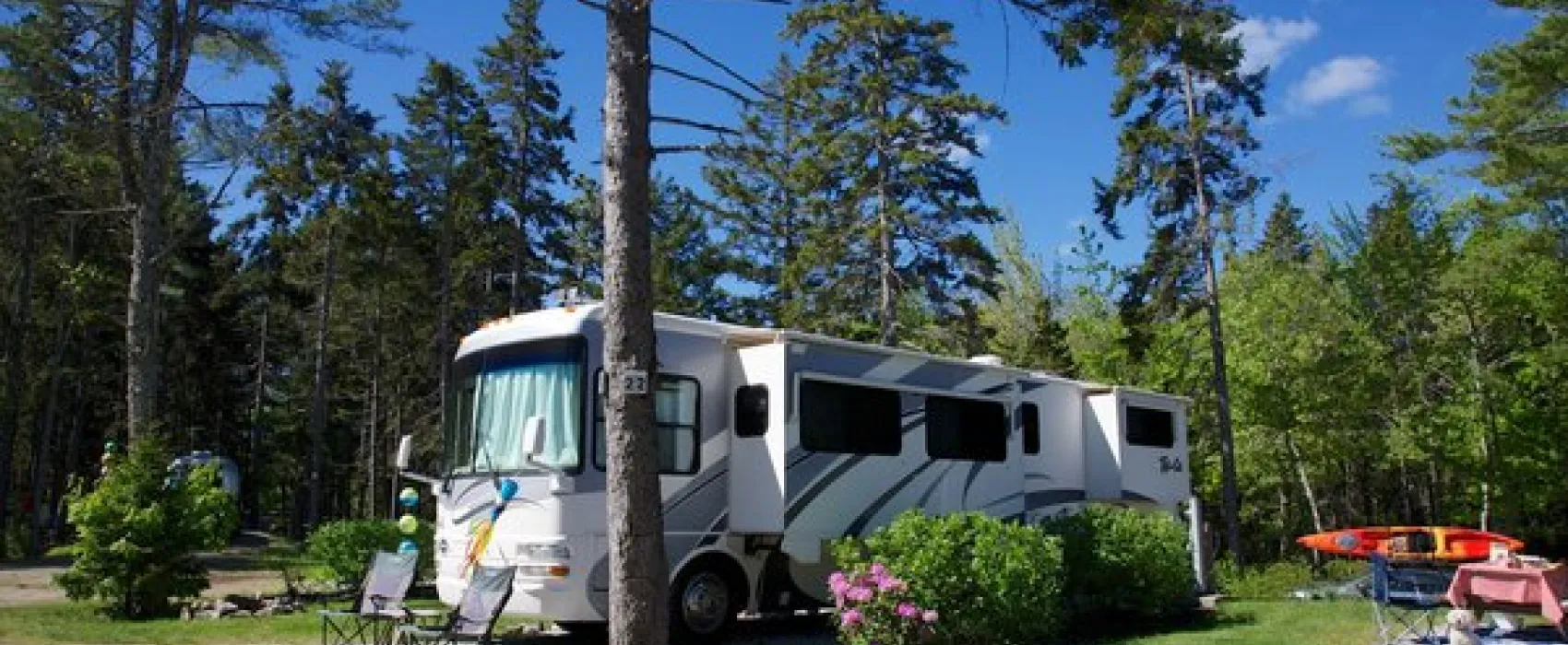 Gray Homestead Oceanfront Camping