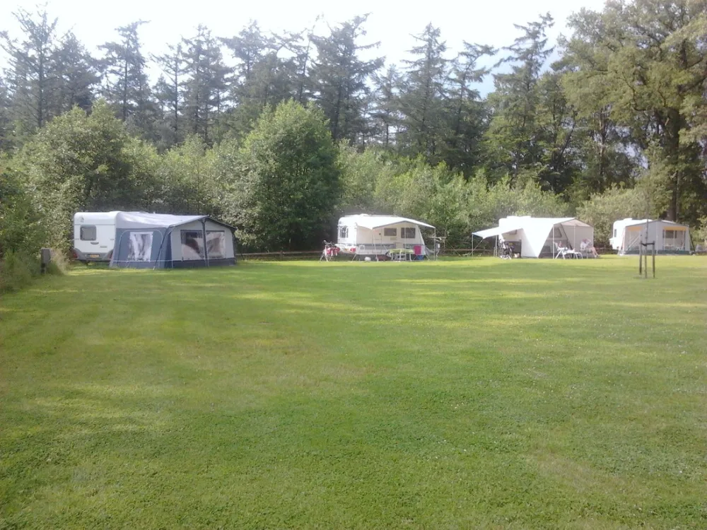 Minicamping Veenemaat