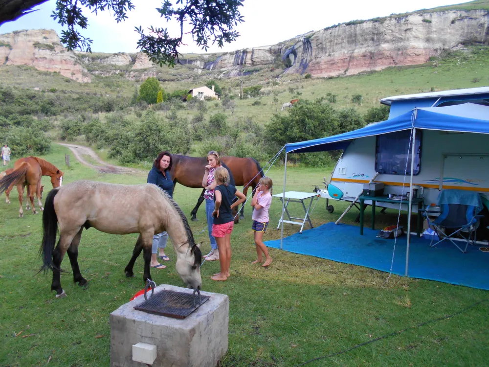 Di Bus Stop Guestfarm & Adventures