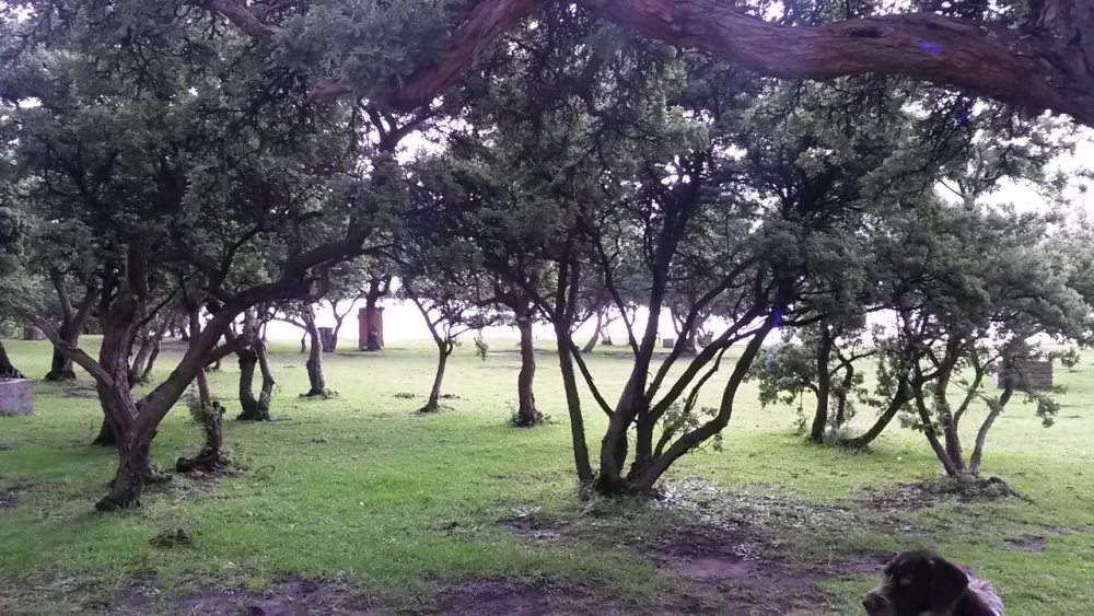 Di Bus Stop Guestfarm & Adventures