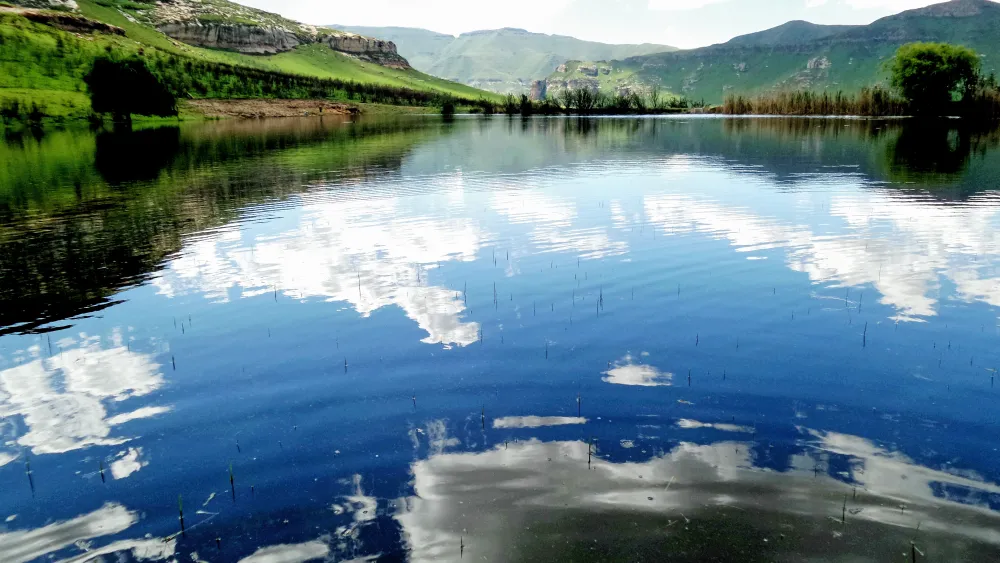 Di Bus Stop Guestfarm & Adventures