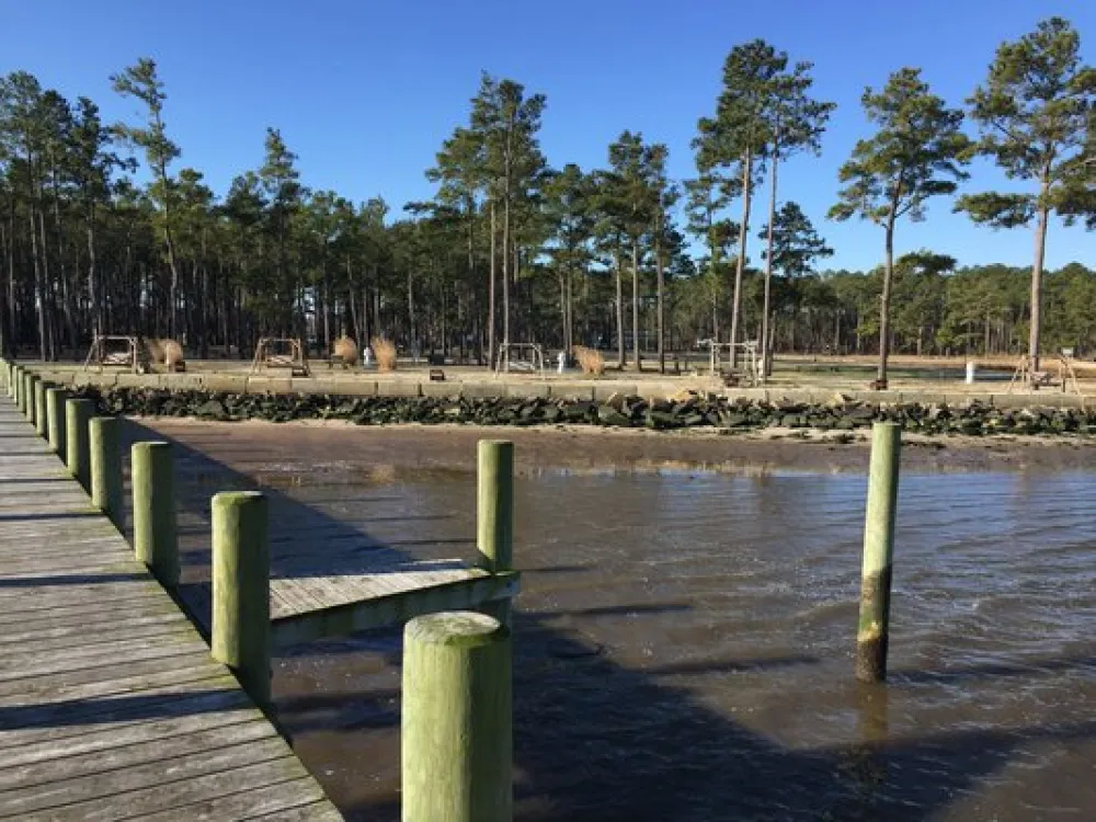 Tall Pines Harbor Waterfront Campground