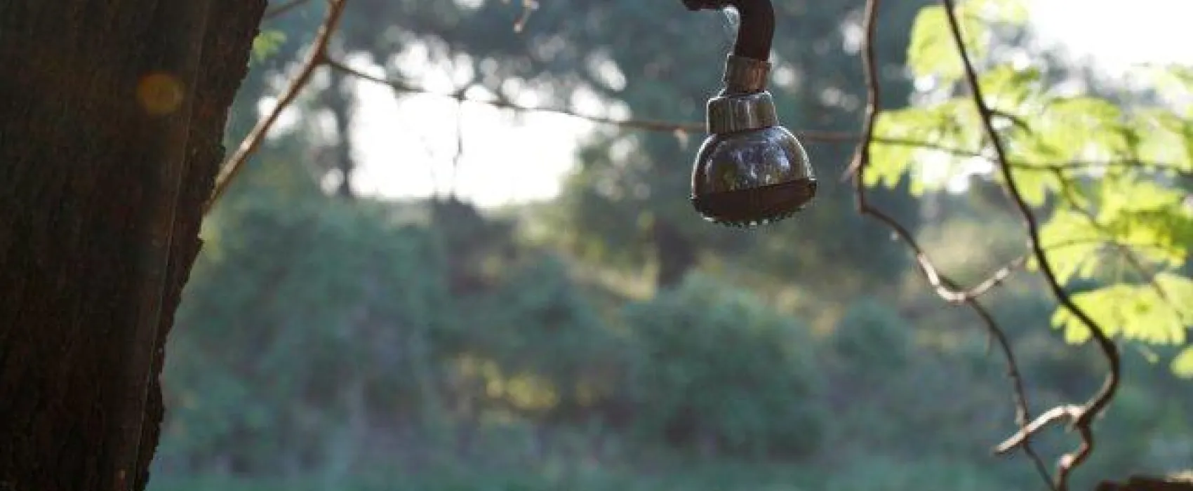 Stevensford Game Reserve