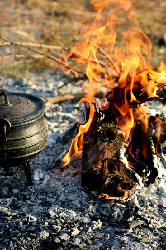 Stevensford Game Reserve