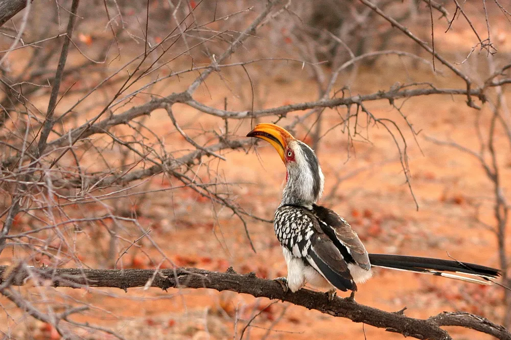 Stevensford Game Reserve