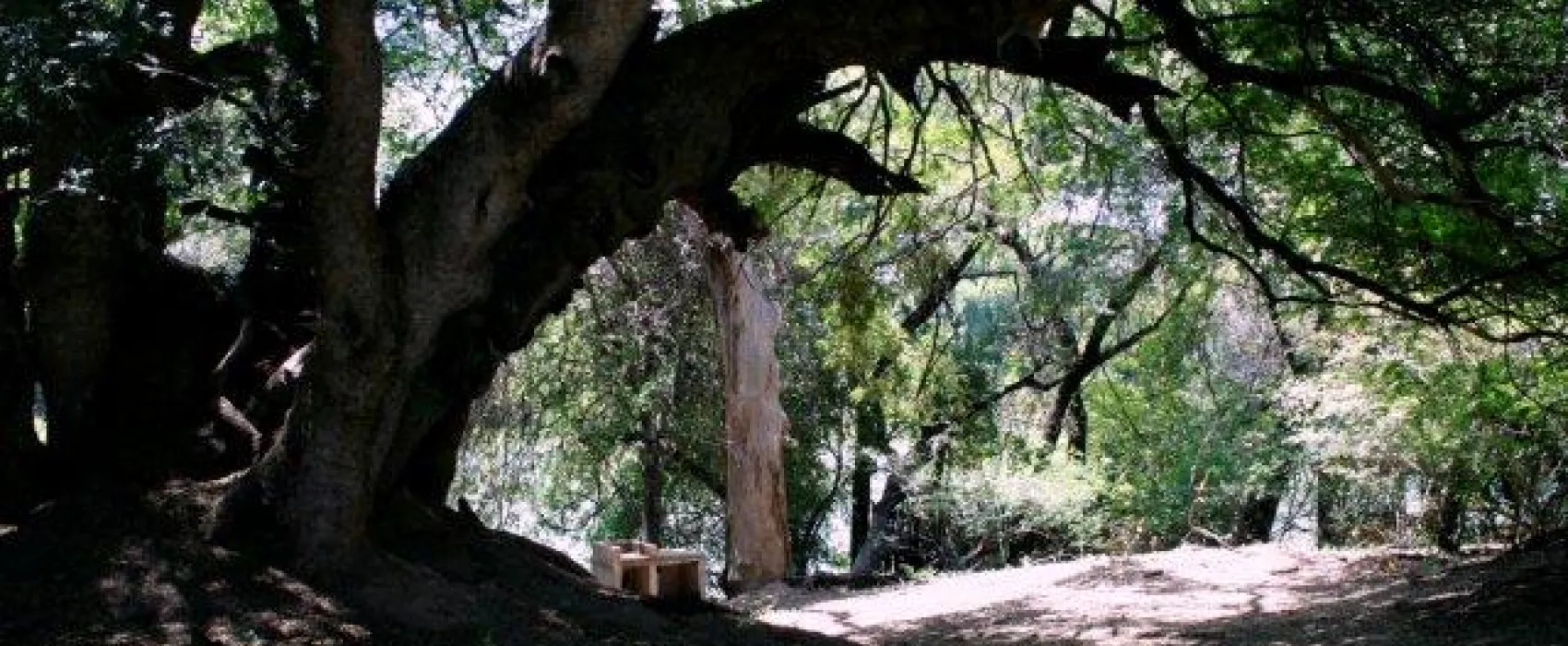 Stevensford Game Reserve