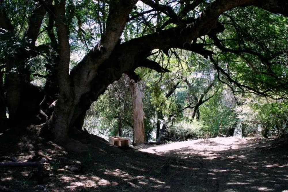 Stevensford Game Reserve