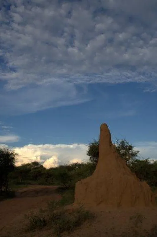 Stevensford Game Reserve