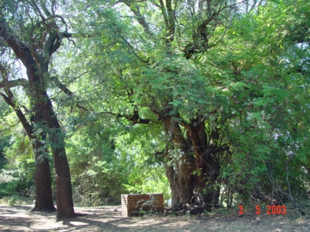 Stevensford Game Reserve