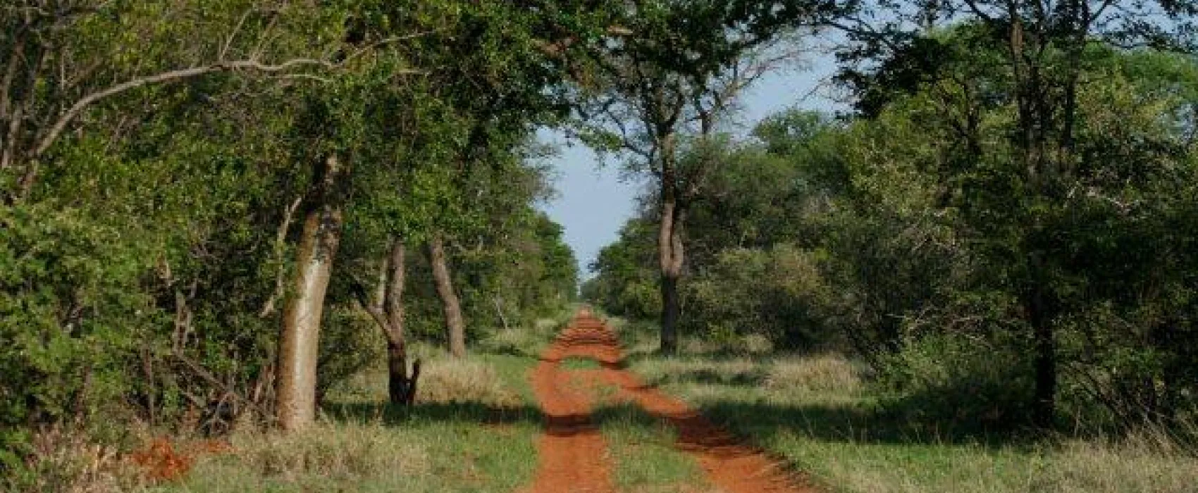 Stevensford Game Reserve