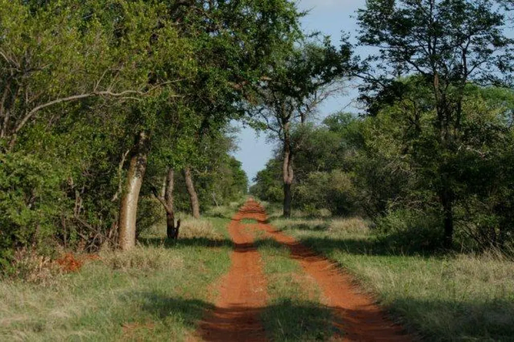 Stevensford Game Reserve