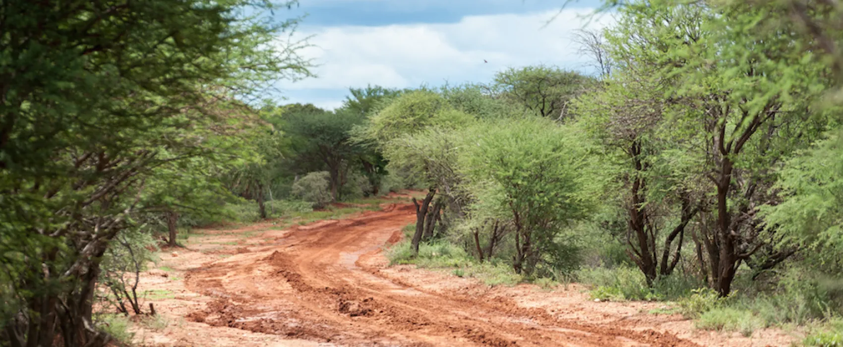 Stevensford Game Reserve