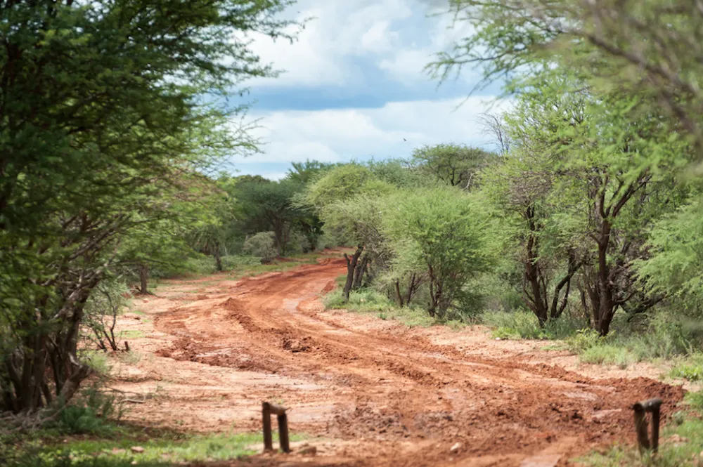 Stevensford Game Reserve