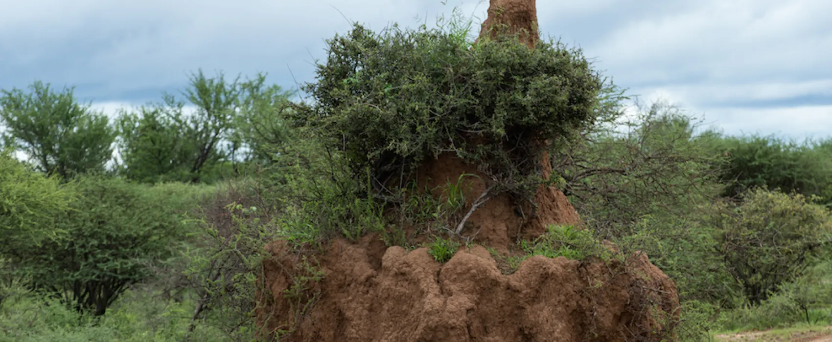 Stevensford Game Reserve