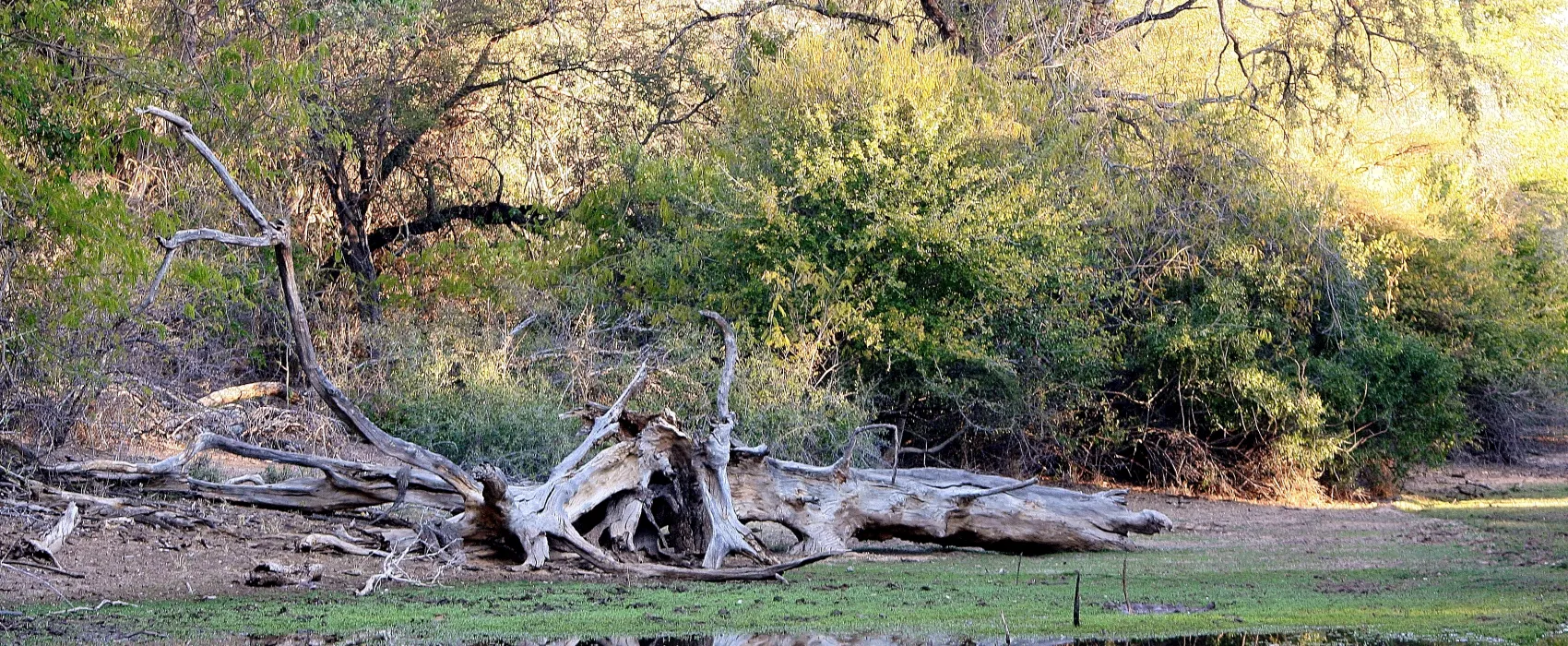 Stevensford Game Reserve