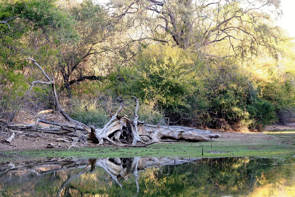 Stevensford Game Reserve