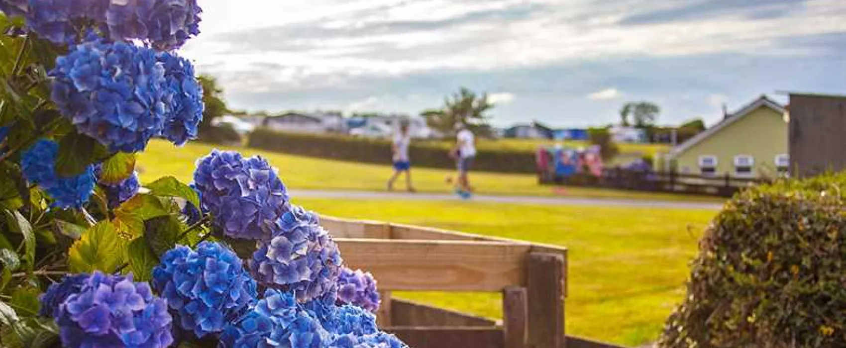 Music Water Touring Park