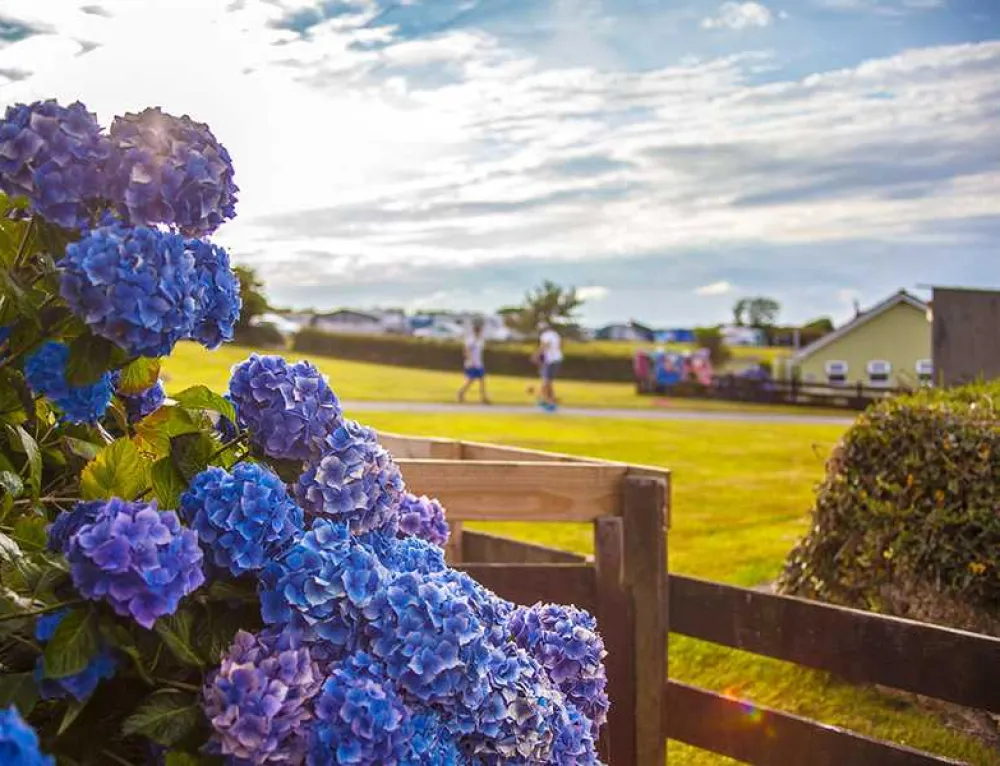 Music Water Touring Park