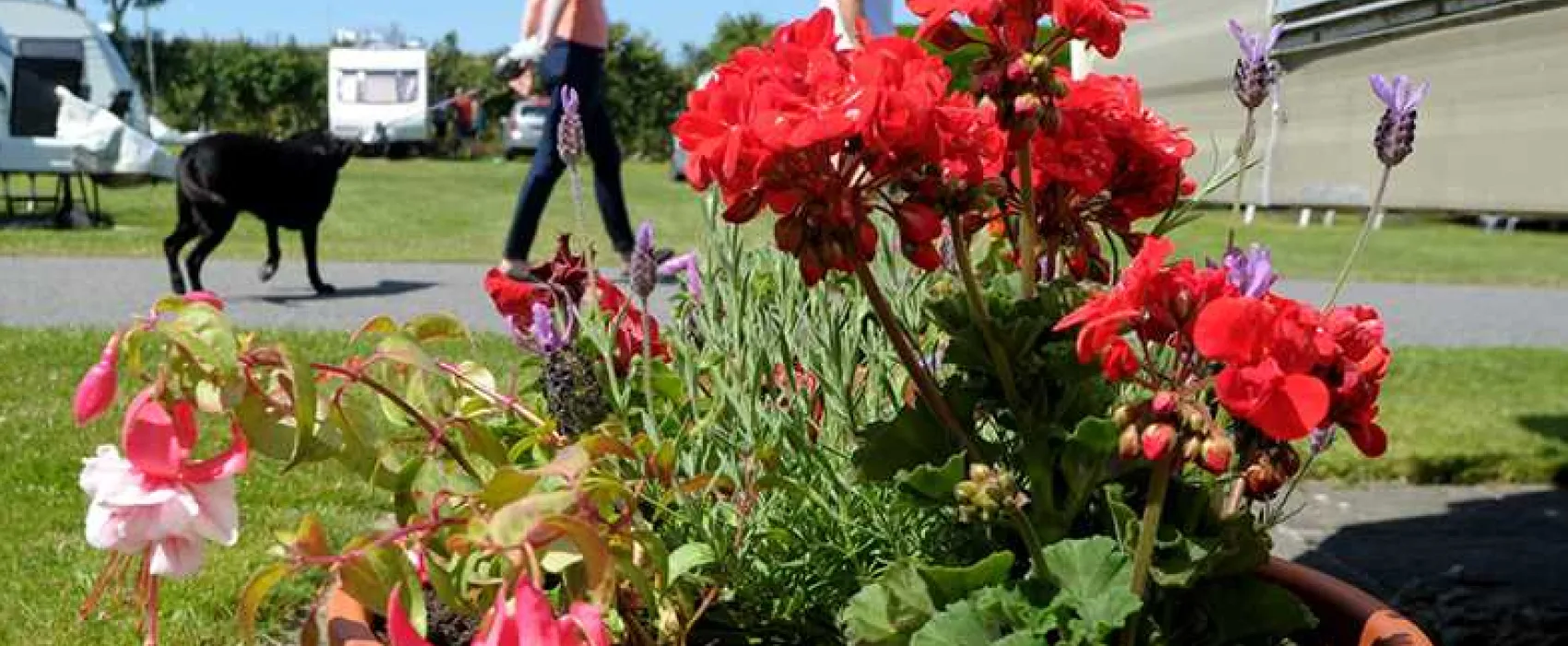 Music Water Touring Park