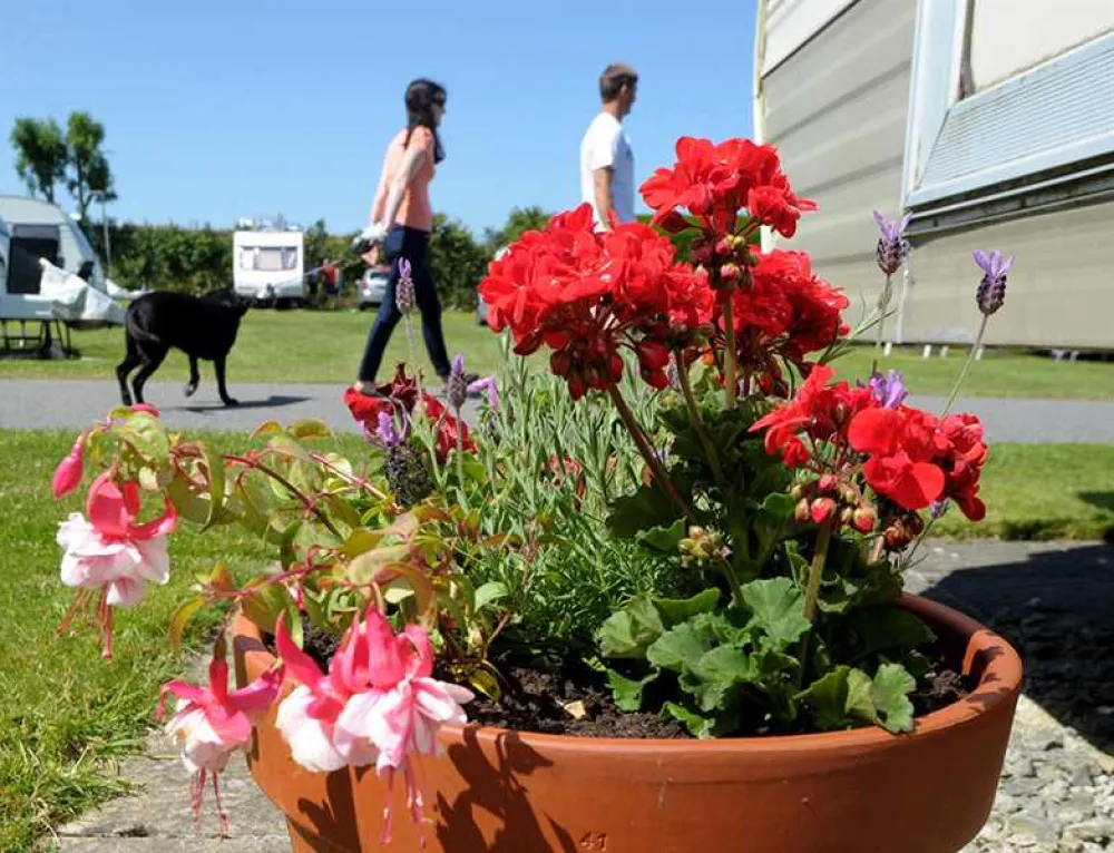 Music Water Touring Park