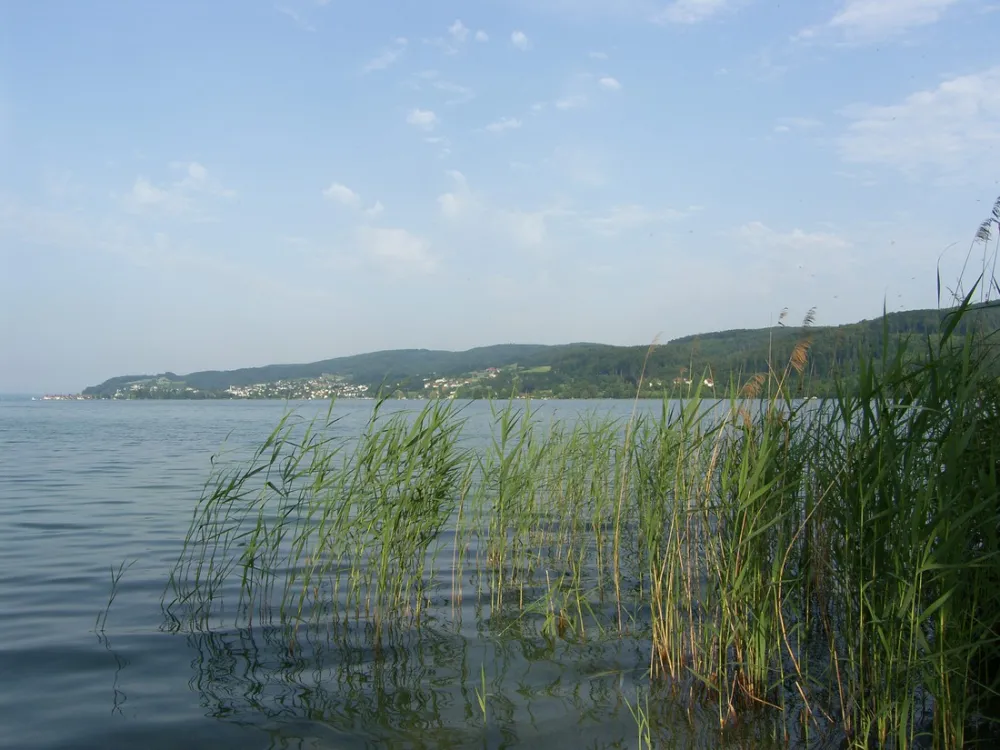Wangen am Bodensee