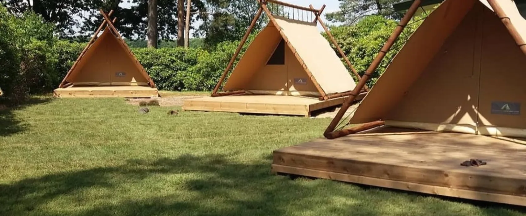 Bos en Heide Camping Zuid Ginkel