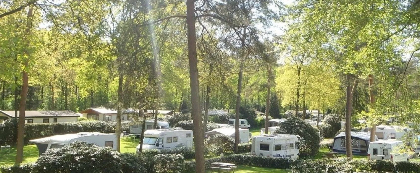 Bos en Heide Camping Zuid Ginkel