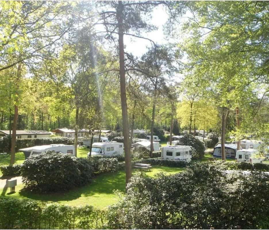 Bos en Heide Camping Zuid Ginkel