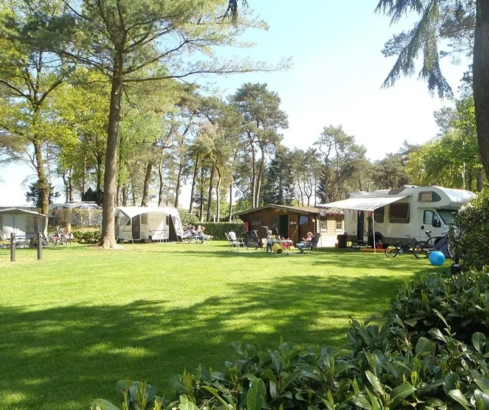 Bos en Heide Camping Zuid Ginkel