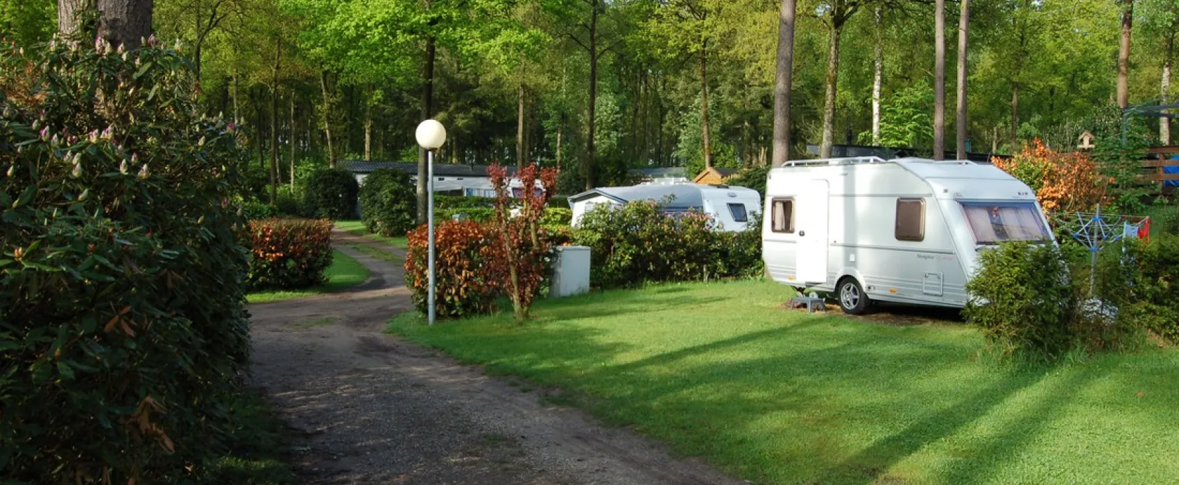 Bos en Heide Camping Zuid Ginkel