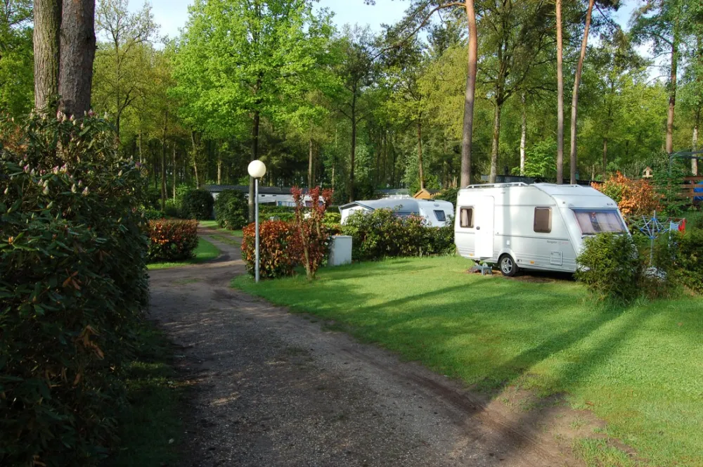 Bos en Heide Camping Zuid Ginkel
